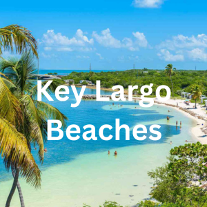Key Largo Beaches: Insider's Guide to Paradise Awaits
