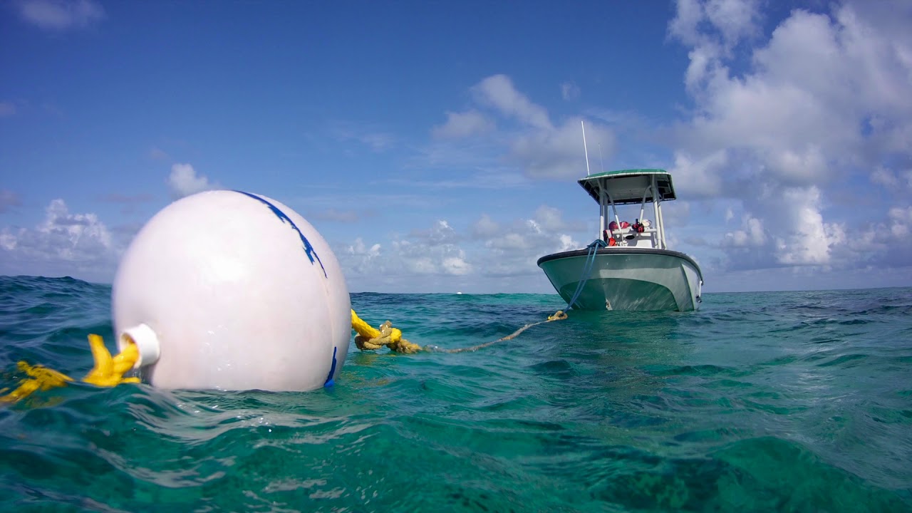 Mooring Buoy Installation: A Comprehensive Guide for Boaters