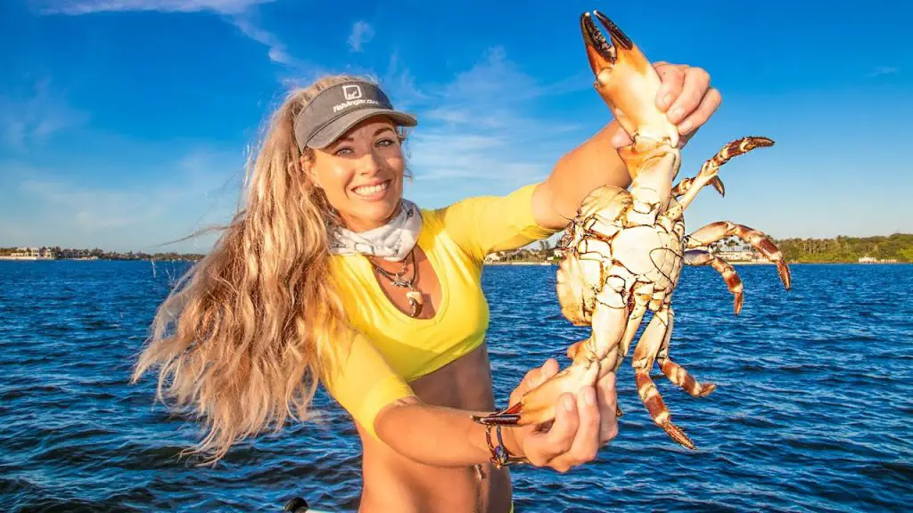 Stone Crab Season Florida: Essential Guide for 2023 - Seamagazine