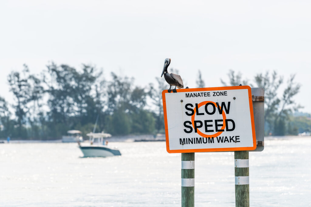 When You Are in a Speed Zone Posted as Slow Speed, Minimum Wake: Your Vessel Should Safely Navigate