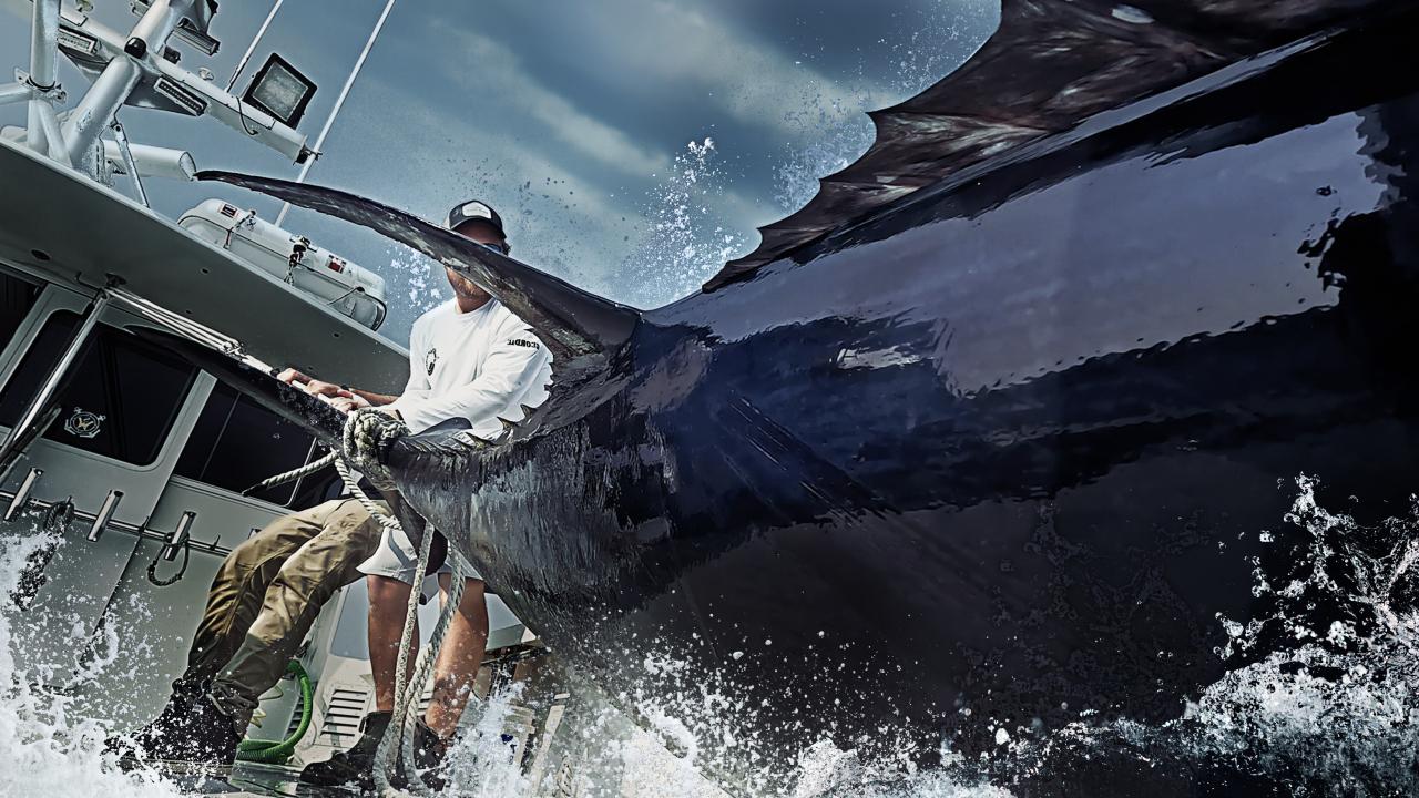 Wicked Tuna Cast 2024: Meet the Expert Fishermen Dominating the Seas